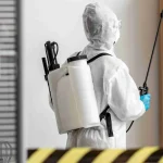 SEO for pest control companies